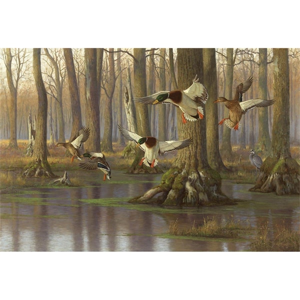 H2H Lambsom Mallards Peaceful Pond H22548327 - main